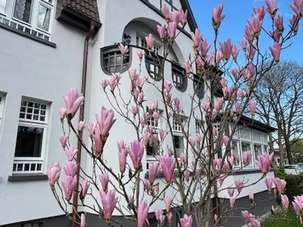 Exclusive 3-Room Apartment in Jugendstil Villa