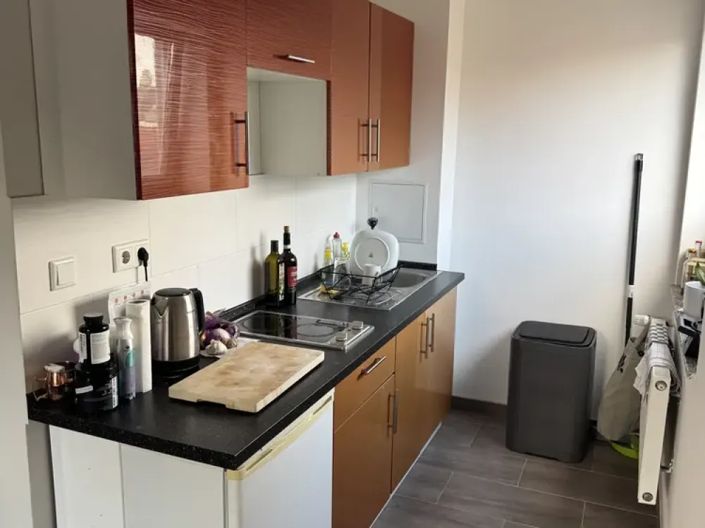 Partially Furnished 1-Room Apartment with Balcony in Krefeld-Cracau