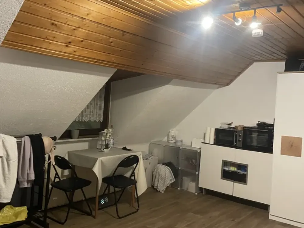 Attic Apartment for Rent (Apt. 6)