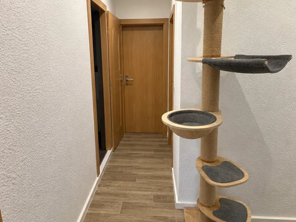 Nachmieter für 3-Zimmer-Wohnung in Leipzig-Paunsdorf gesucht