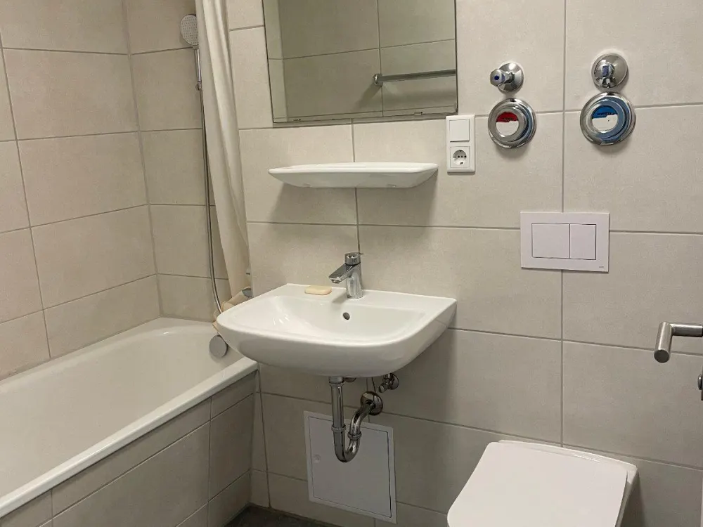 1-Raum-Wohnung, separate Küche, Terrasse, neu saniertes Bad