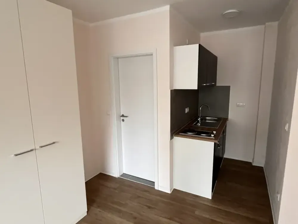 1-Zimmer-Appartement mit gehobener Innenausstattung mit Balkon und EBK in Frankfurt am Main