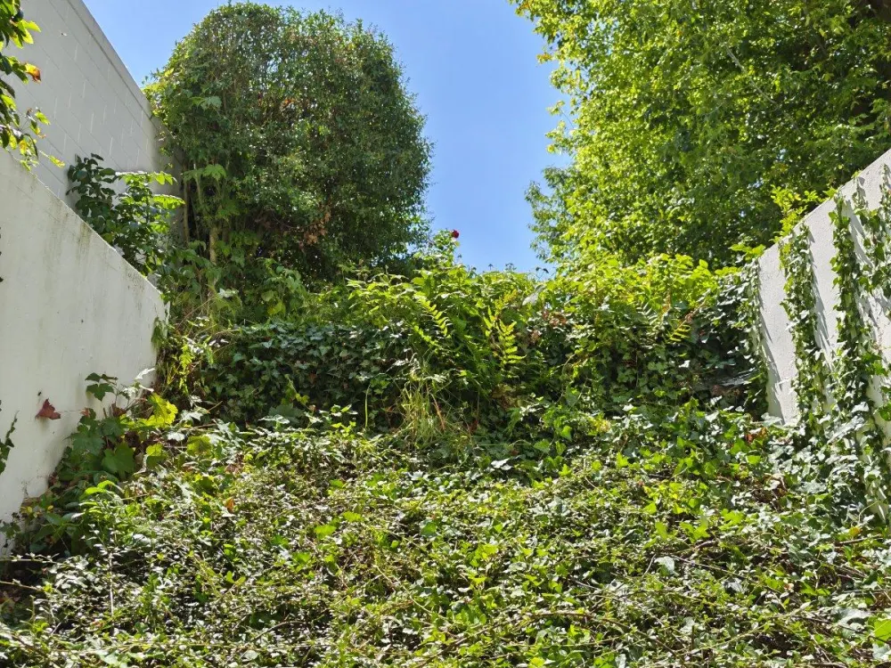 2 - Zimmer Souterrain - Wohnung in Darmstadt
