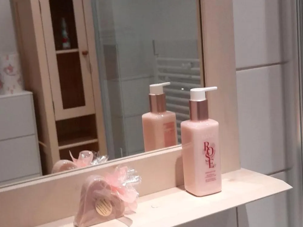 1-Zimmer mit separatem Duschbad