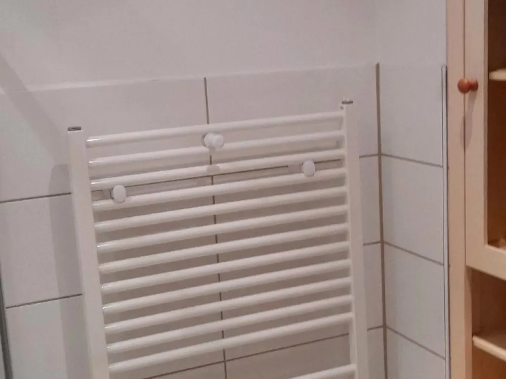 1-Zimmer mit separatem Duschbad