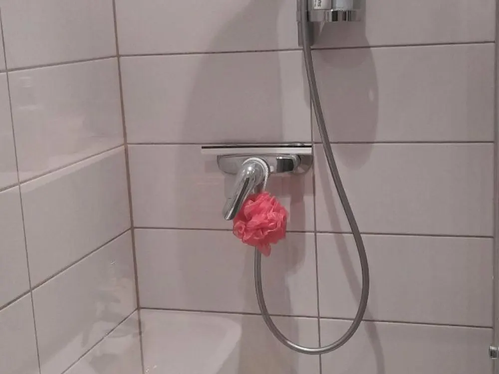 1-Zimmer mit separatem Duschbad