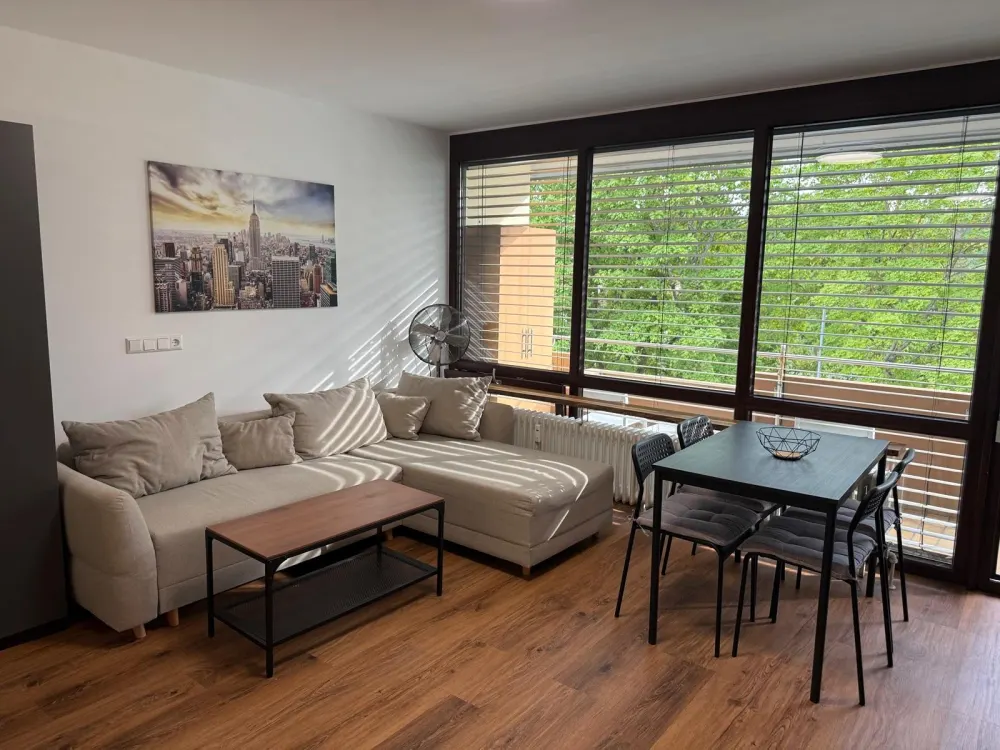 Wohnung zu vermieten. 1 Zimmer. Vollmobiliert. 900€ Warmmiete.