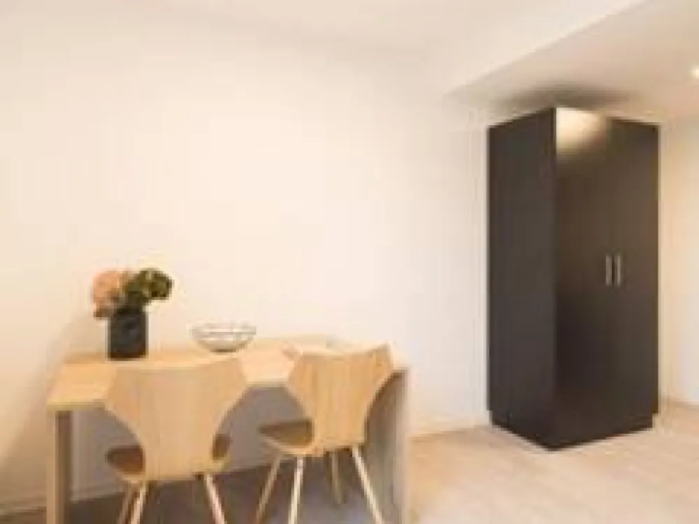 Möbliertes 1Zimmer-Apartment ca.36 qm, Perfekt für Pendler, Studenten und Berufstätige