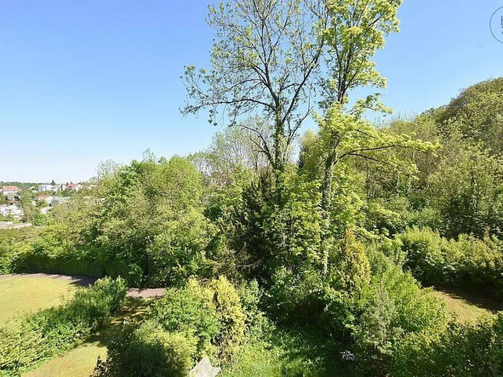 Sehr schöne, möblierte Wohnung mit zwei Balkonen in Stuttgart Botnang