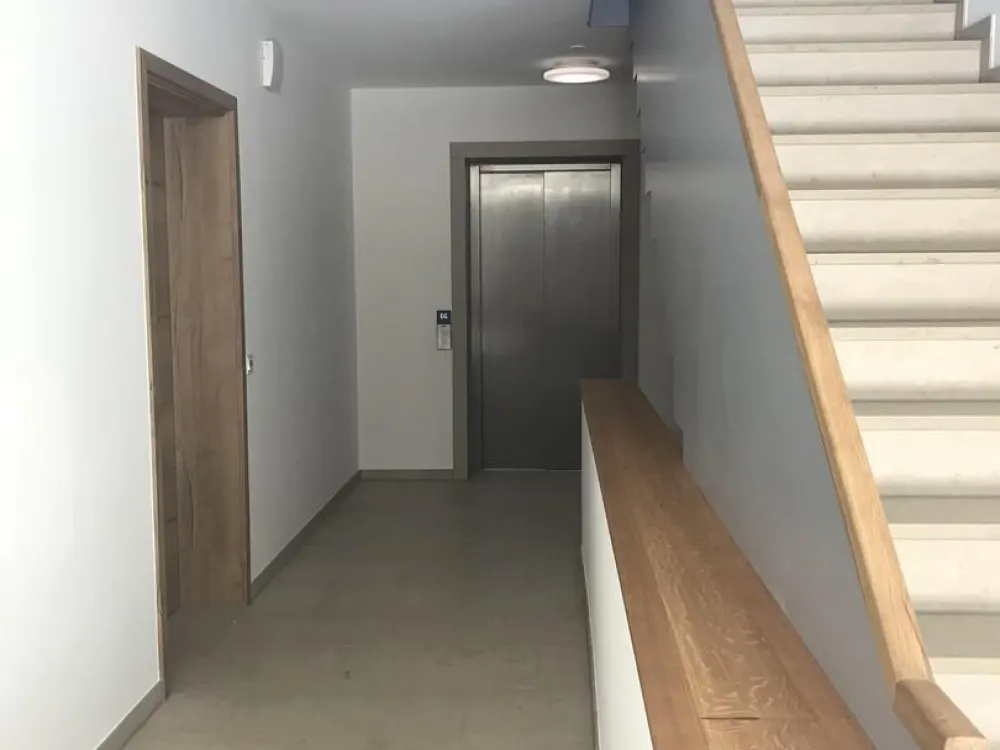 Am Grüngürtel von Frankfurt - 3 Zimmerwohnung - direkt am Wald - Dreieich Buchschlag