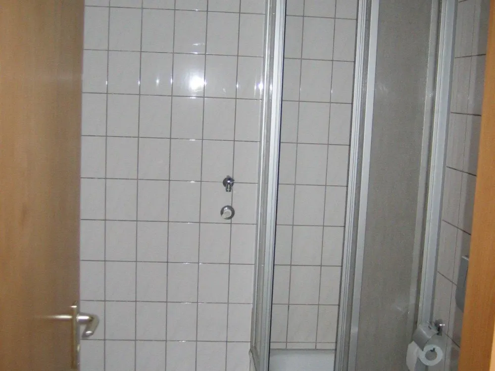 Einraum-Wohnung Dachgeschoss in Naunhof zu vermieten ab Mai