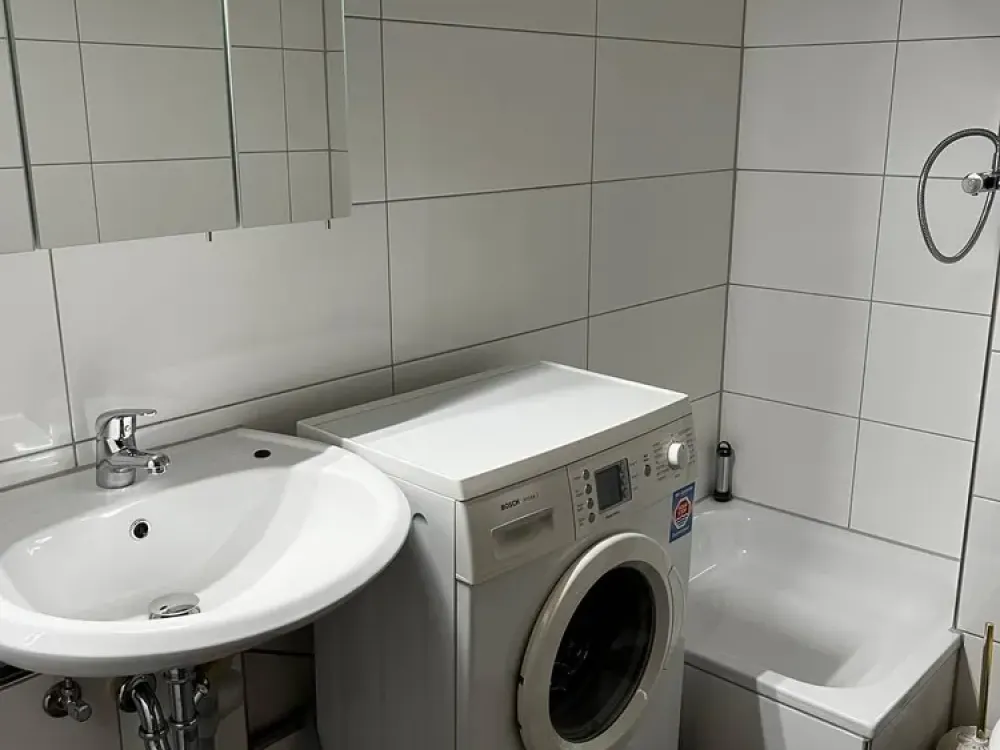 Beautiful bright 1-room apartment for rent in Offenbach Ledermuseum!!