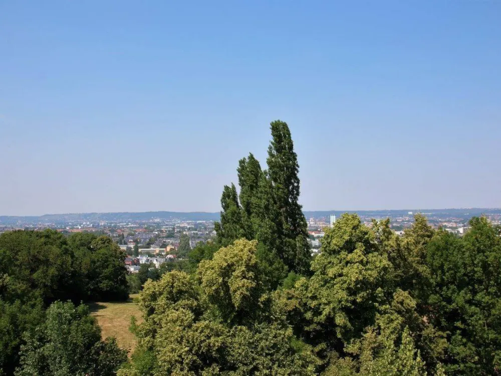 Betreutes Wohnen 2-Zimmer-Wohnung mit Terrasse