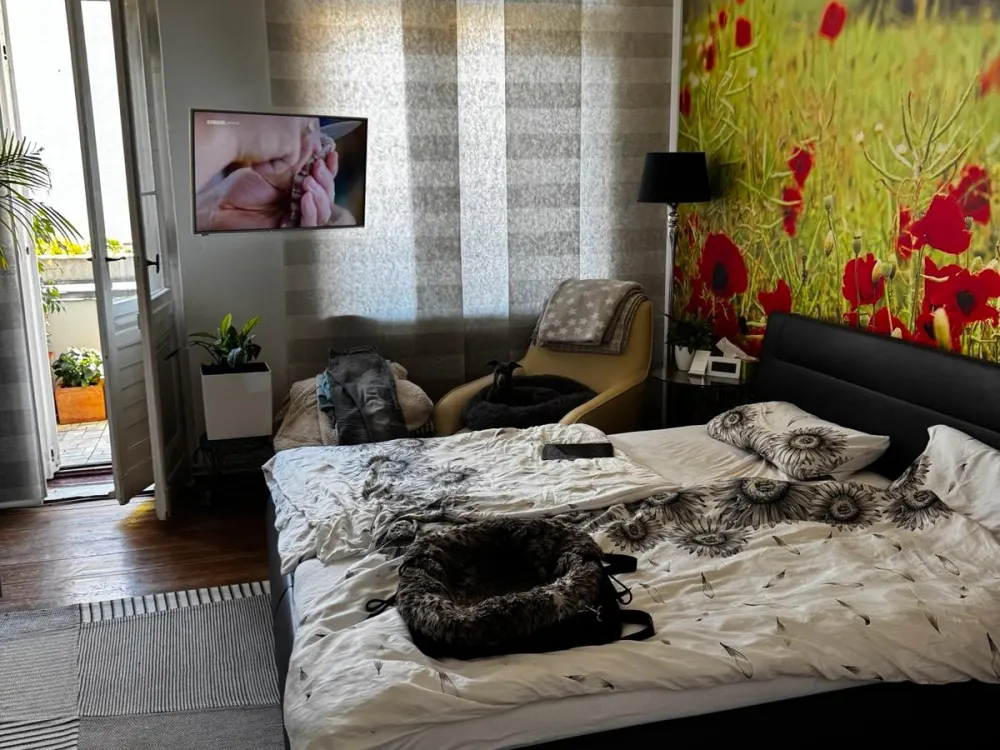 Untervermietung 2-Zimmer-Wohnung Steglitz, Schloßstraße
