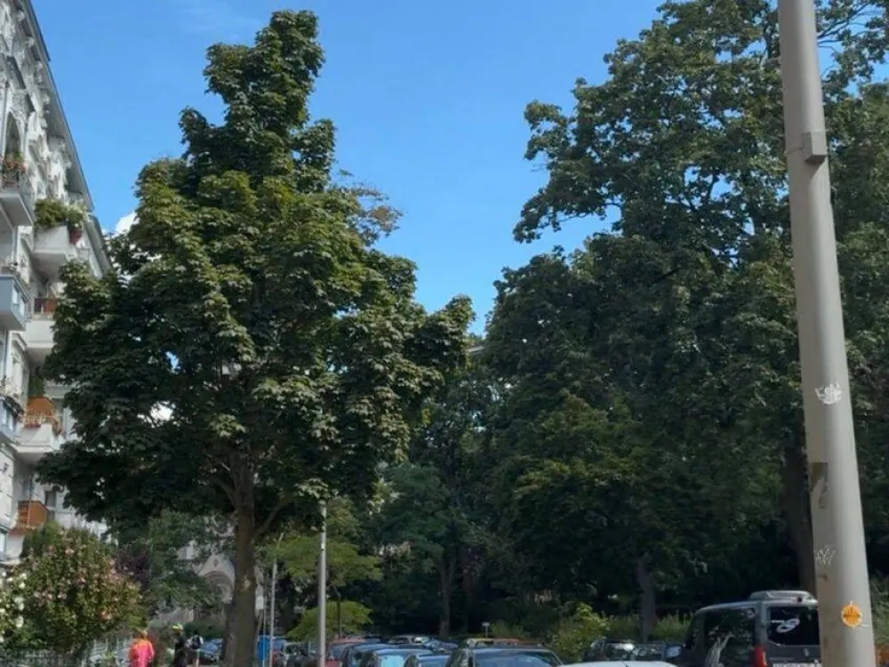 Temporary Home in Popular Kreuzberg, near Tempelhofer Feld