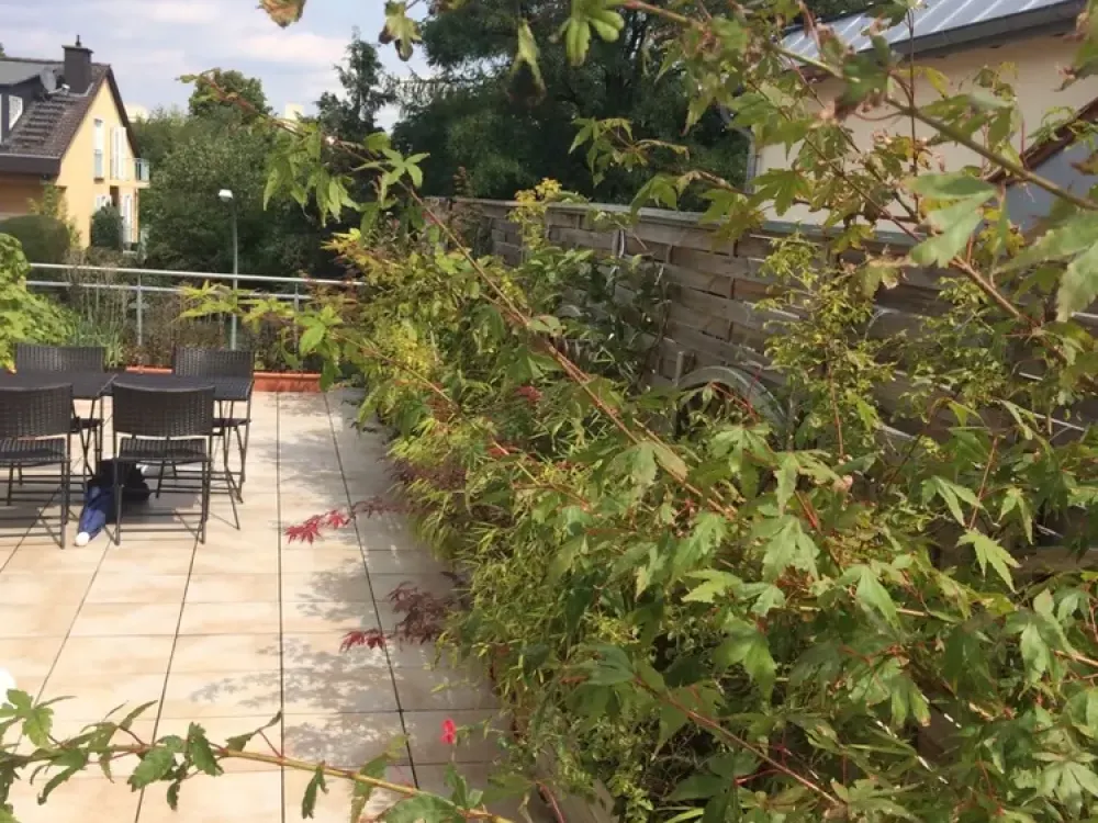 Großzügig und mit Weitblick - PENTHOUSE mit 5 Zimmer ist die seltene Gelegenheit