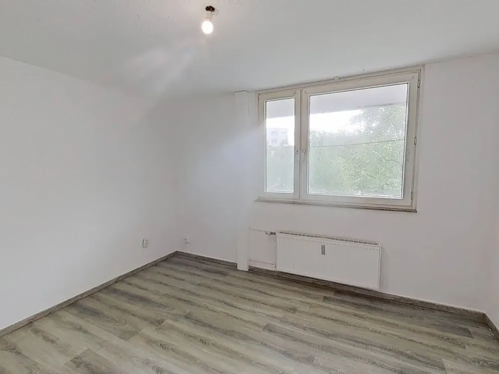 STUDENT OR TRAINEE? This is your new shared flat room with plenty of light in campusglueck Münster