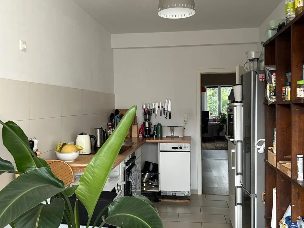 3 Zimmer Wohnung Mieten in Köln Ehrenfeld zu vermieten