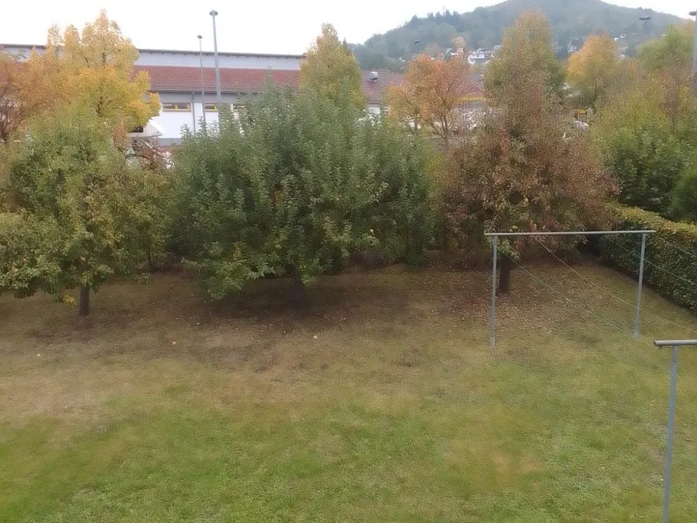 Wohnung - zentral in Niedenstein