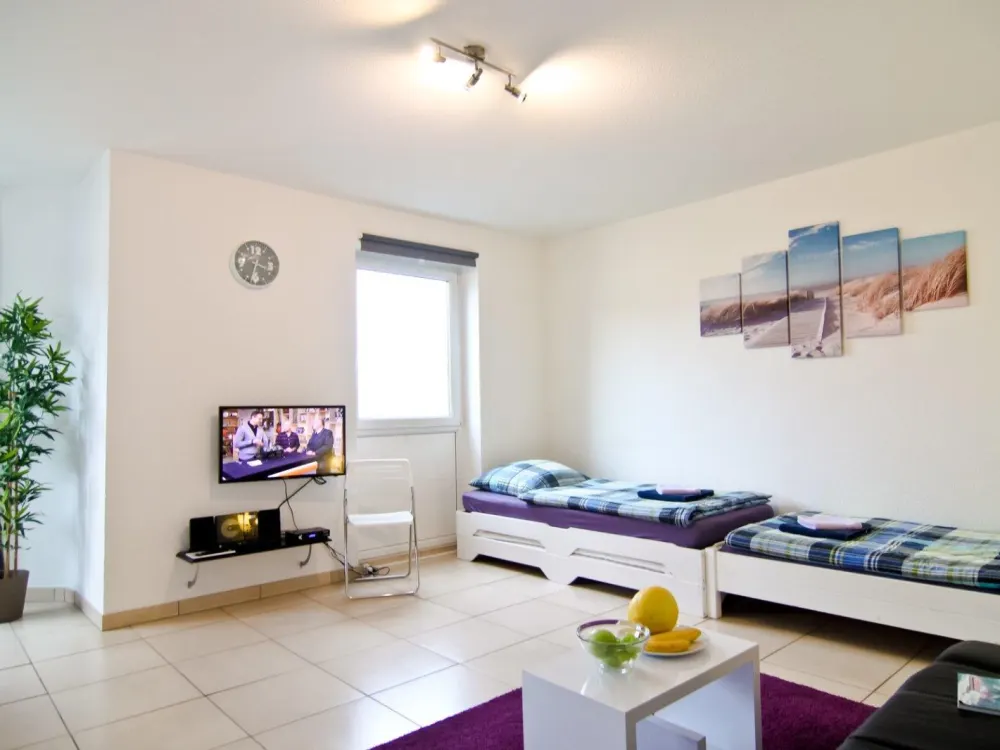 Schöne, großzügige Apartmentwohnung, voll möbliert