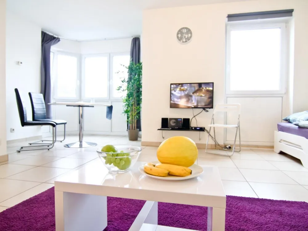 Schöne, großzügige Apartmentwohnung, voll möbliert