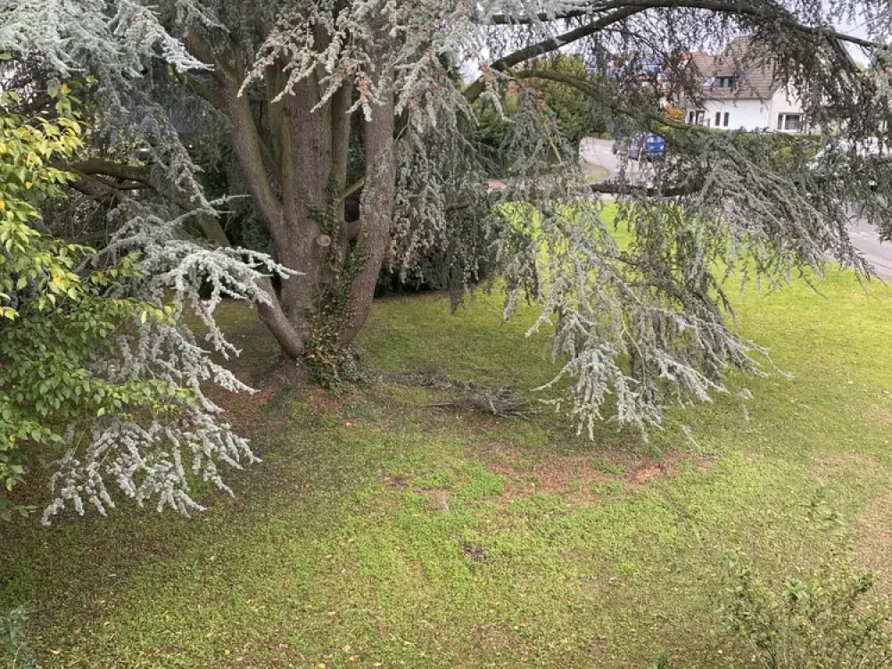 3-room apartment with balcony in Leverkusen-Opladen in prime location above the Wupperaue