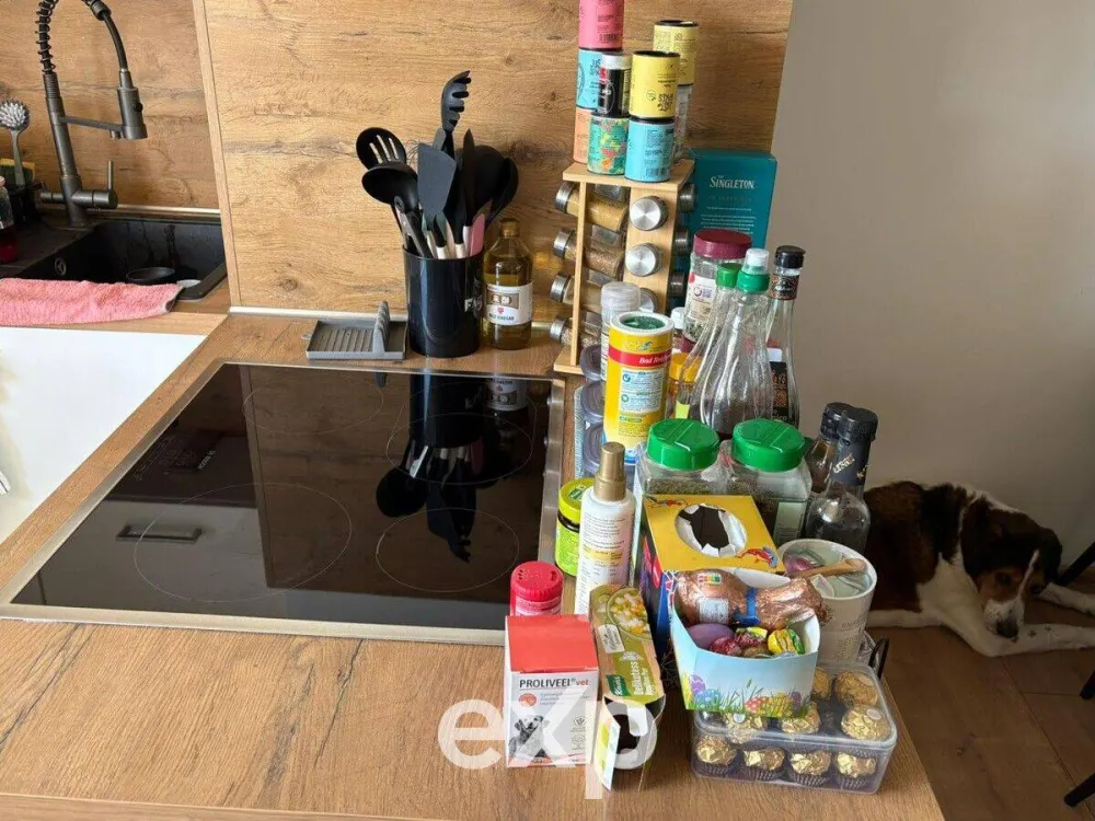 Kernsanierte 3-Zimmer-Wohnung mit Einbauküche, Balkon & Fernblick - Köln-Porz/Urbach