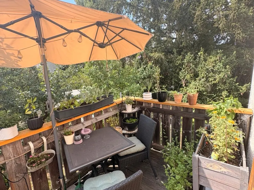 Schönes Großes WG Zimmer mit Balkon und 4 Beiniger Gesellschaft