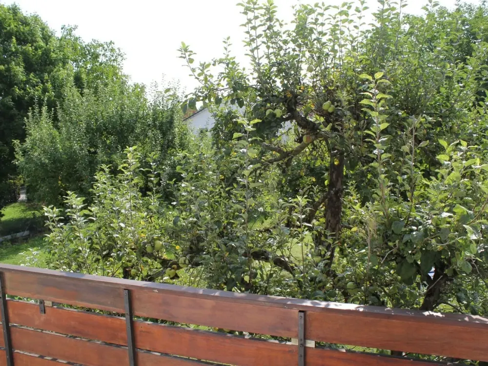 Ruhige, modernisierte 3-Zimmer mit Balkon und Blick ins Grüne - Krailling