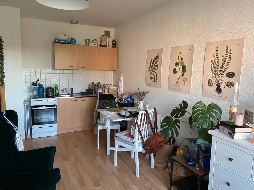 Anfragestopp! 1-Zimmer-Wohnung in Rostock (Lichtenhagen)