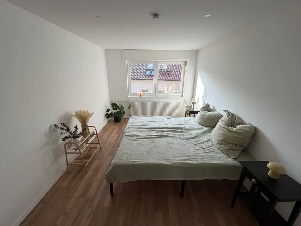 Completely Renovated 2-Room Apartment in Durlach