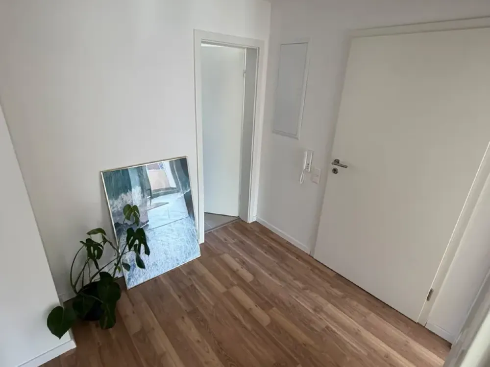 Completely Renovated 2-Room Apartment in Durlach