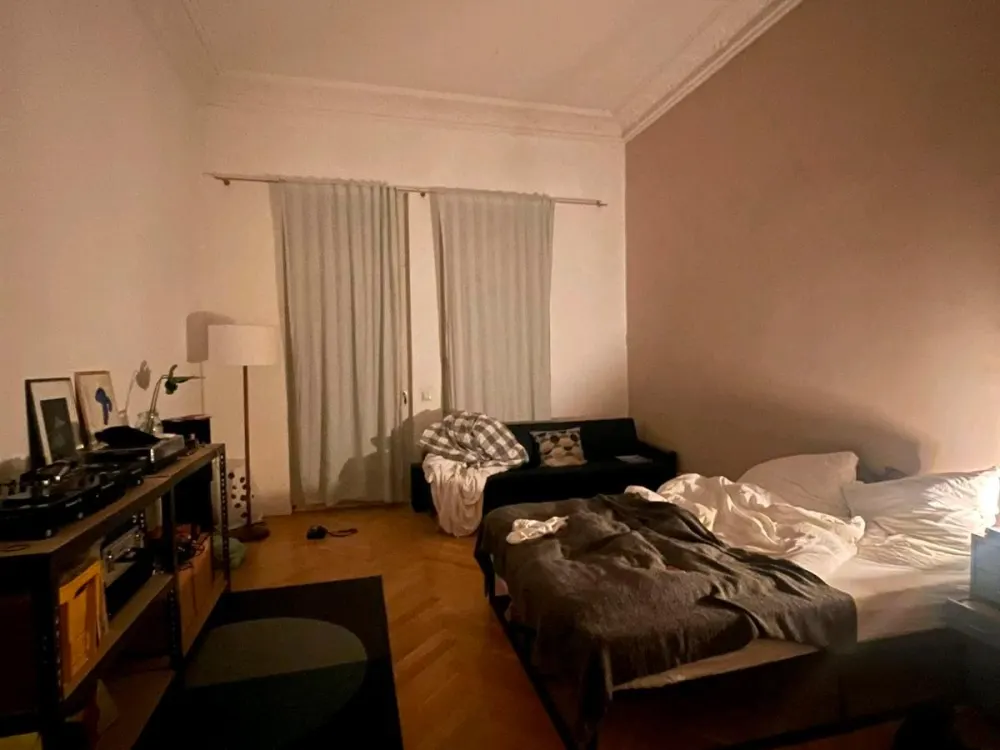 Traumhafte Wohnung im Waldstraßenviertel