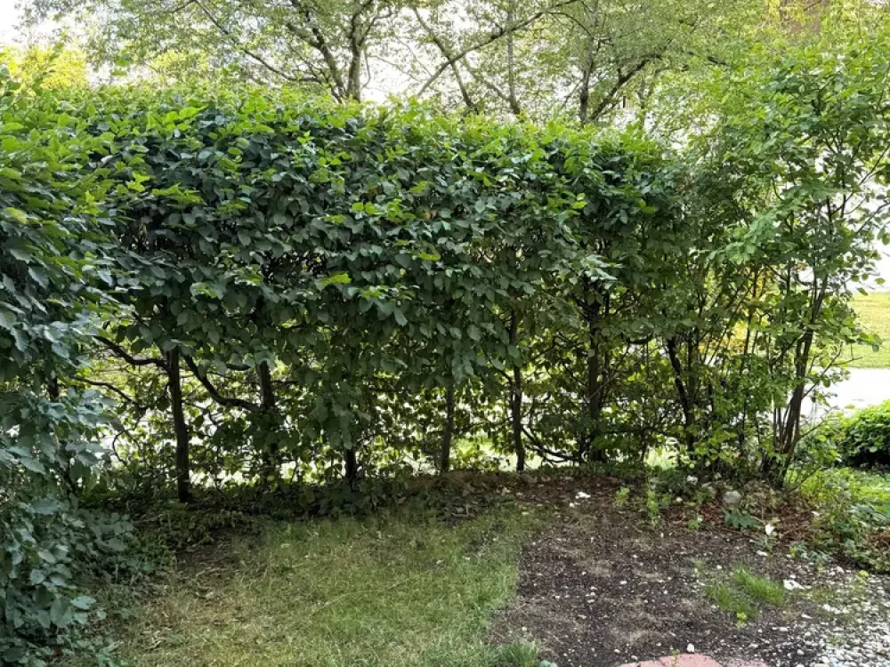 Modern sanierte 4- Zimmer- Terrassenwohnung mit Gartenblick in München