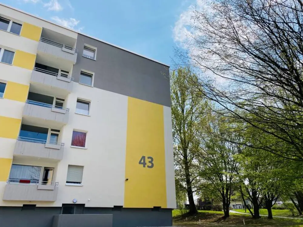 Gemütliches Single Apartment - frisch renoviert