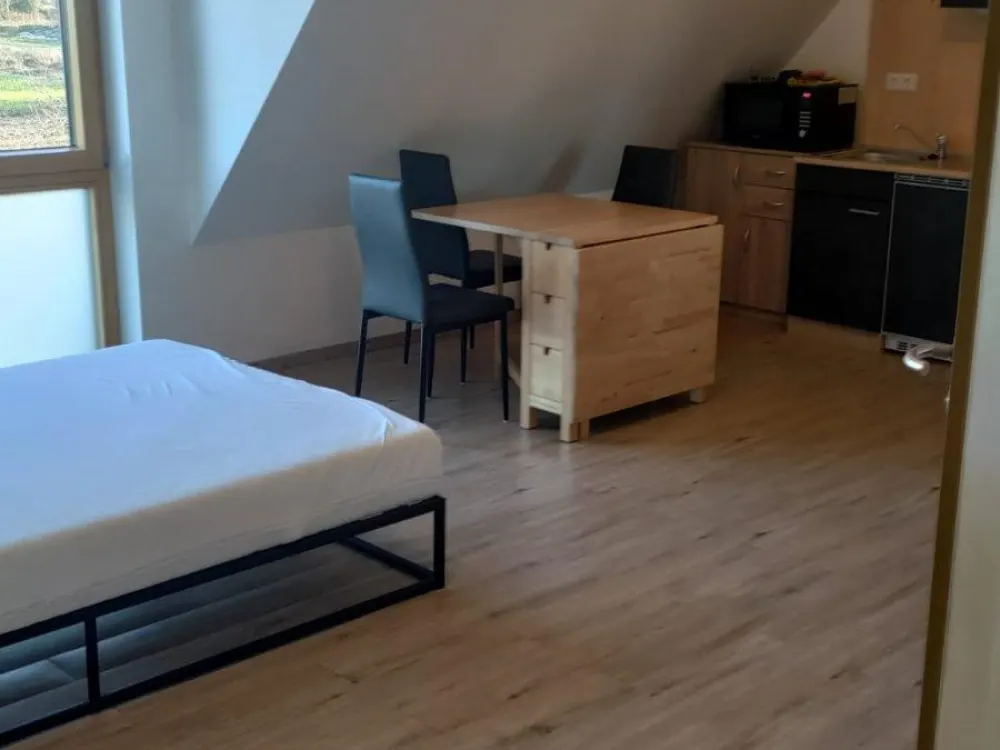 Möbeliertes 1-Zimmer-Apartment - ab 15. Januar 2027
