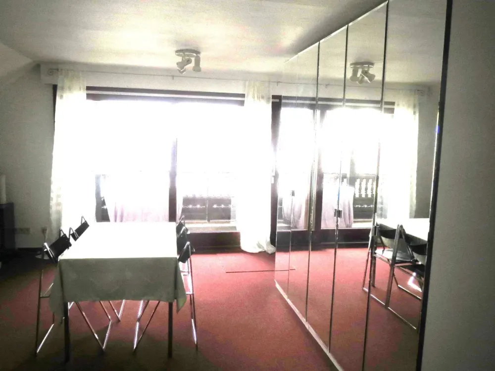 Möbliertes, großes 1 Zimmer-Apartment, inkl. EBK, Waschmaschine, WLAN, Balkon, in Maintal-Hochstadt