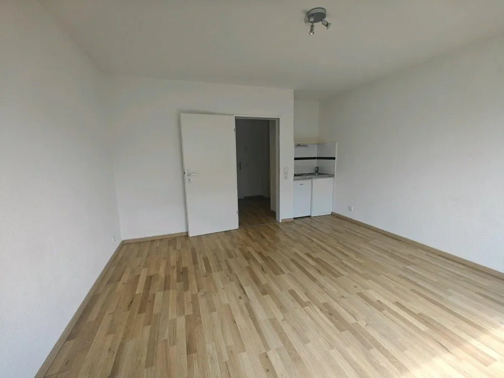 Gemütliche 1 Zimmer Apartment in Bilk