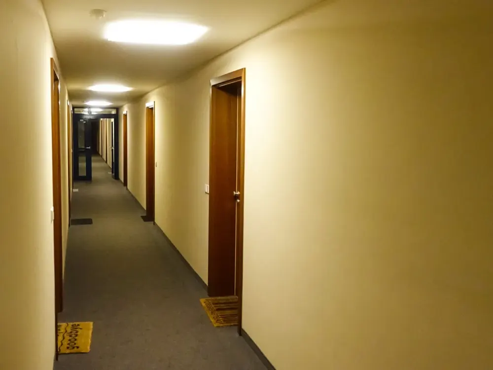Elbnahe 1-Raum-Wohnung mit Einbauküche in Dresden