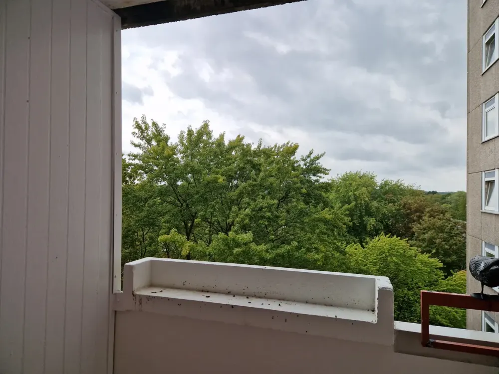 I like this one: completely renovated 3-room apartment with balcony!