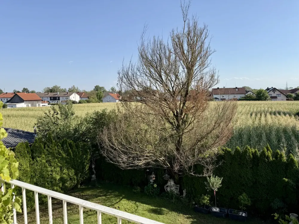 Helle 3-Zimmer-Wohnung mit EBK, Südbalkon und freiem Feldblick