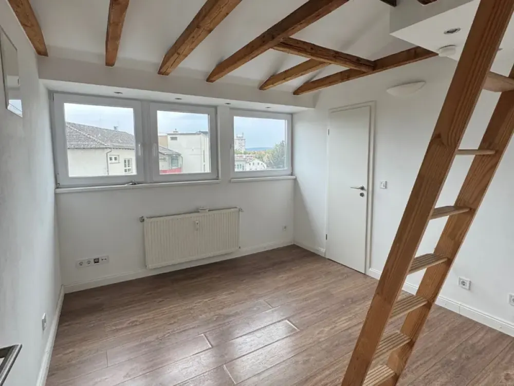 Helle 1- Zimmer Wohnung in Frankfurt Höchst