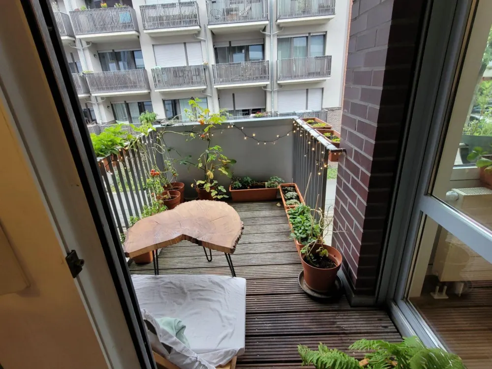 Charming Münster Apartment with Southwest Balcony