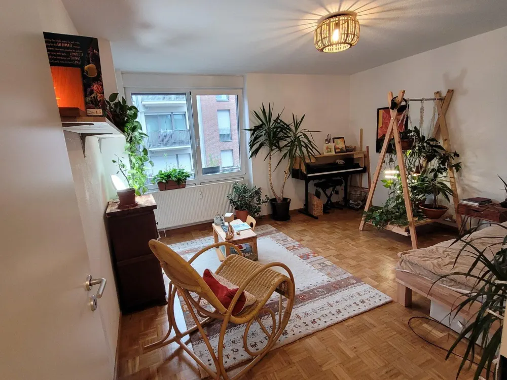 Charming Münster Apartment with Southwest Balcony