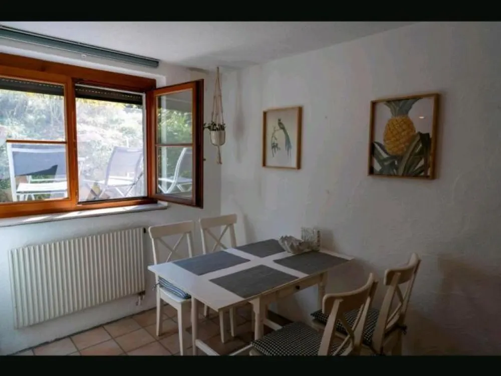 1.5 Room Apartment for Temporary Rent