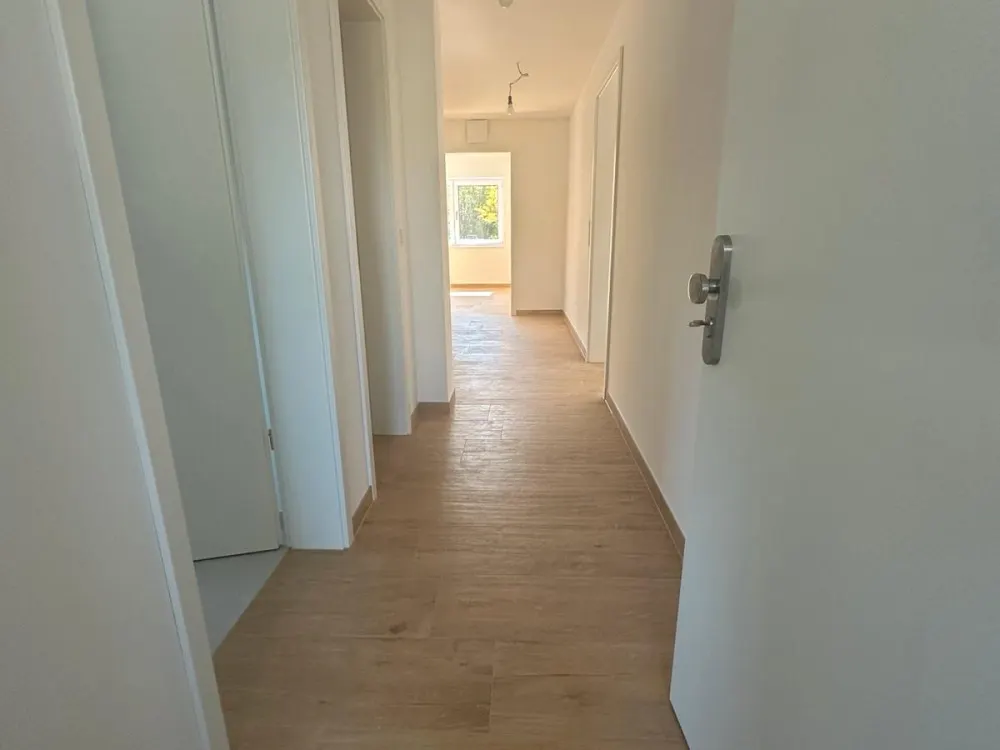 3 Zimmer Wohnung