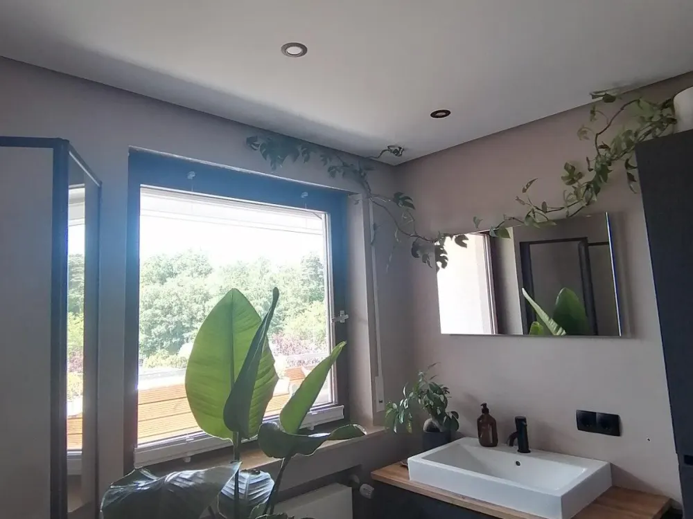 2,5 Zimmer Wohnung Rohrer Höhe