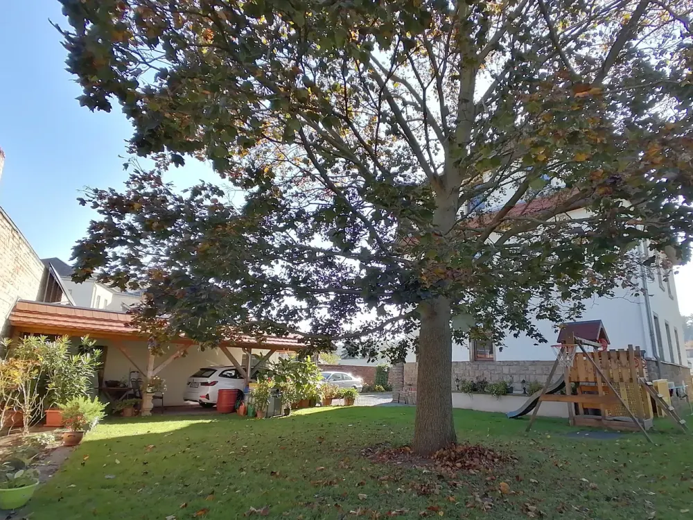 Beautiful 3-Room Apartment in Heidenau