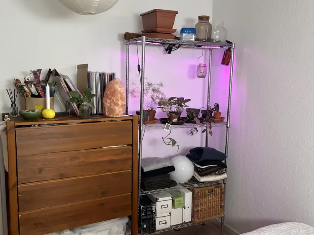 Helle 2-Zimmer Wohnung in Frankfurt am Main