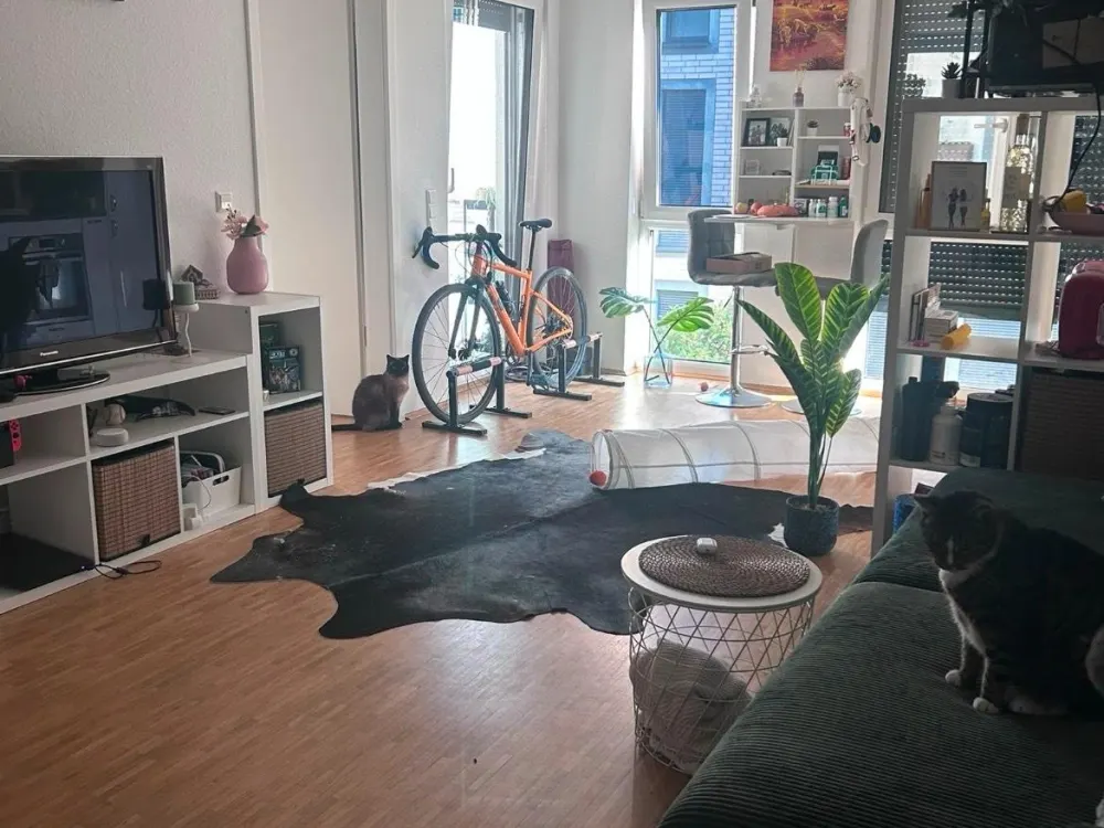 Schöne 2 Zimmer Wohnung
